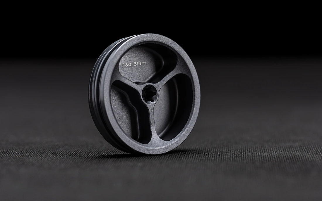 Swingarm side cap Aluminum